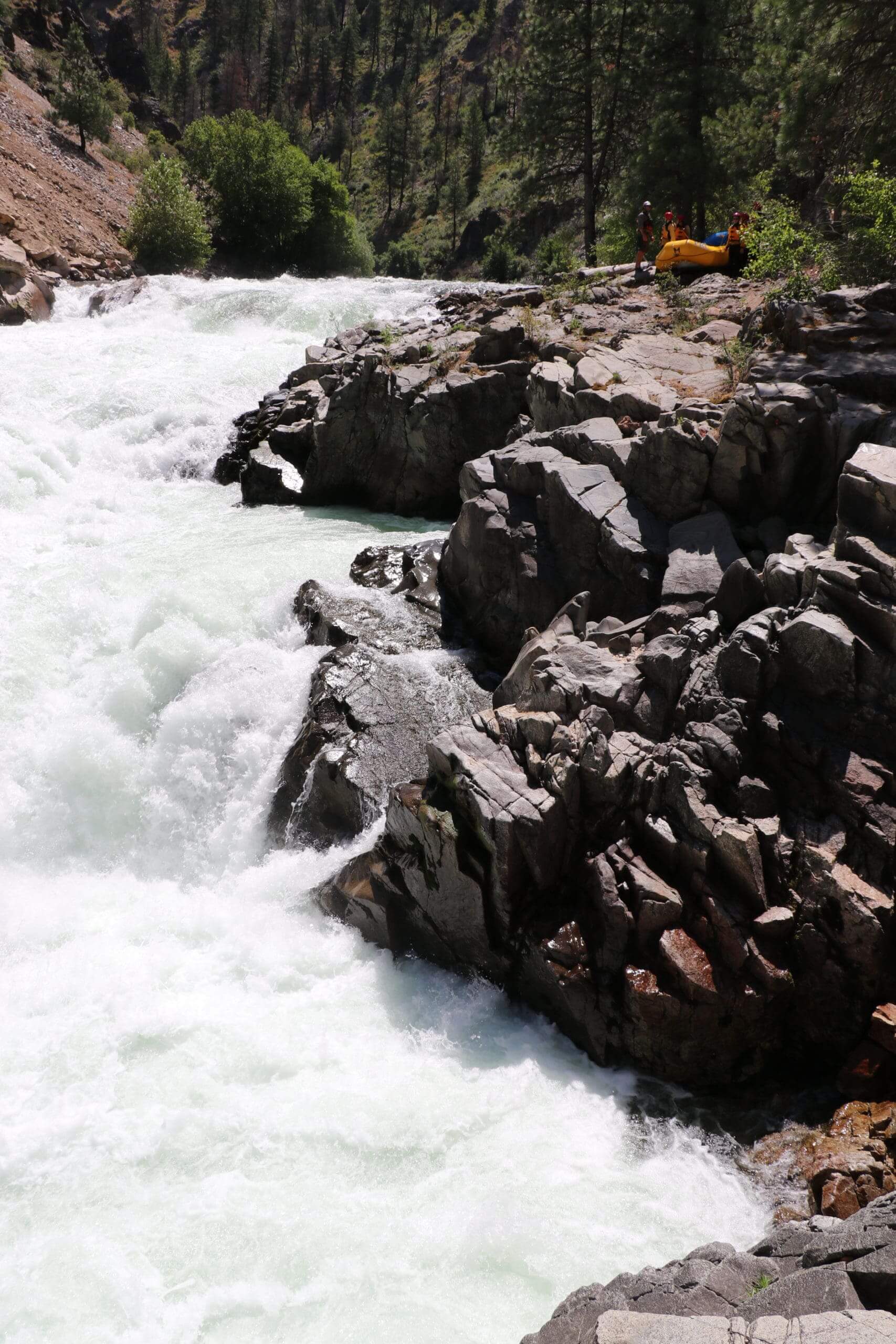 Whitewater river with rocks